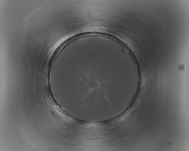 X0000111370830200907241244