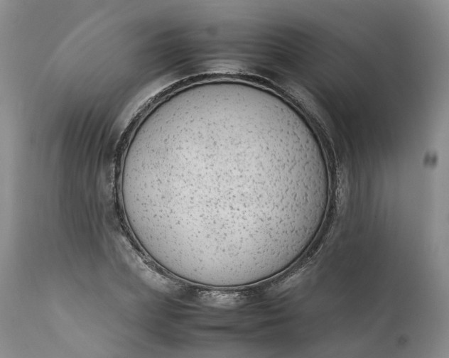 X0000111370831200907241244