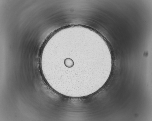 X0000111370832200907241244