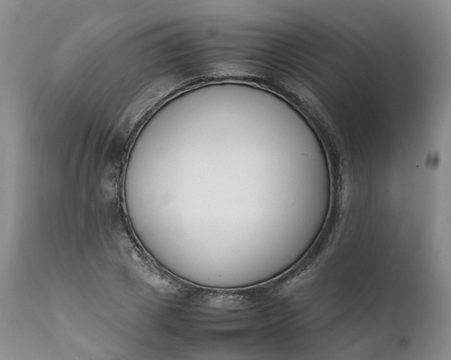 X0000111370833200907241244