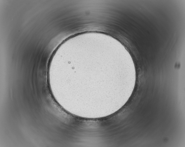 X0000111370836200907241244