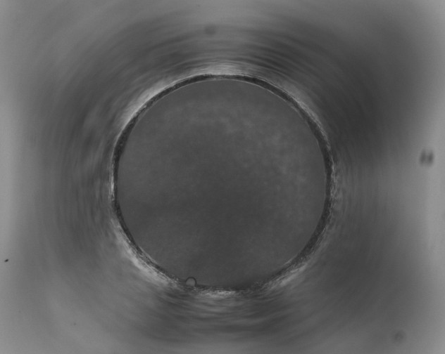 X0000111370837200907241244