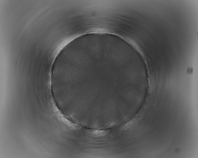 X0000111370839200907241244