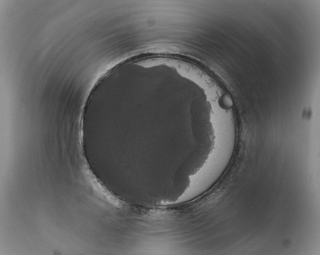 X0000111370840200907241244