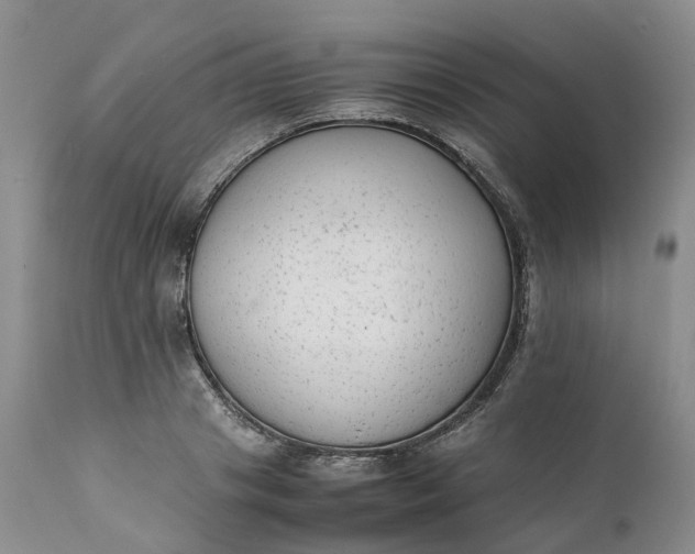 X0000111370841200907241244