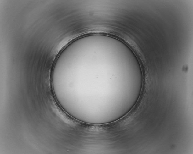 X0000111370842200907241244