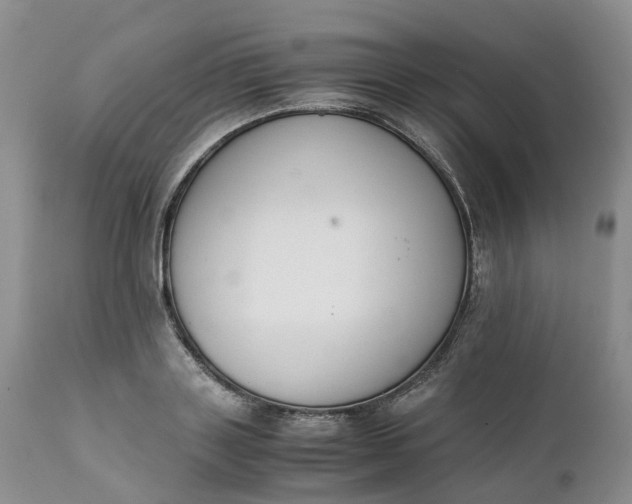 X0000111370843200907241244