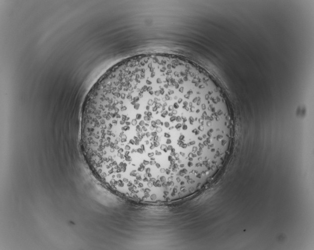 X0000111370844200907241244