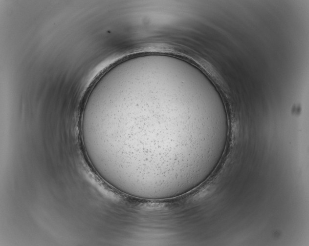 X0000111370846200907241244