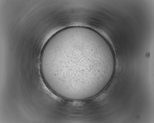 X0000111370847200907241244