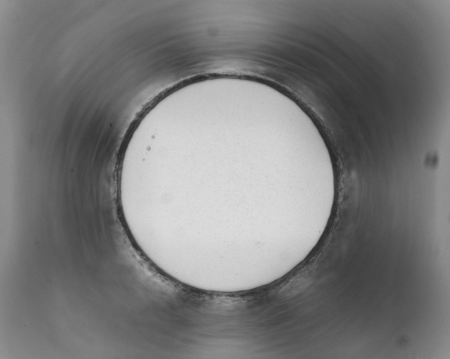 X0000111370848200907241244