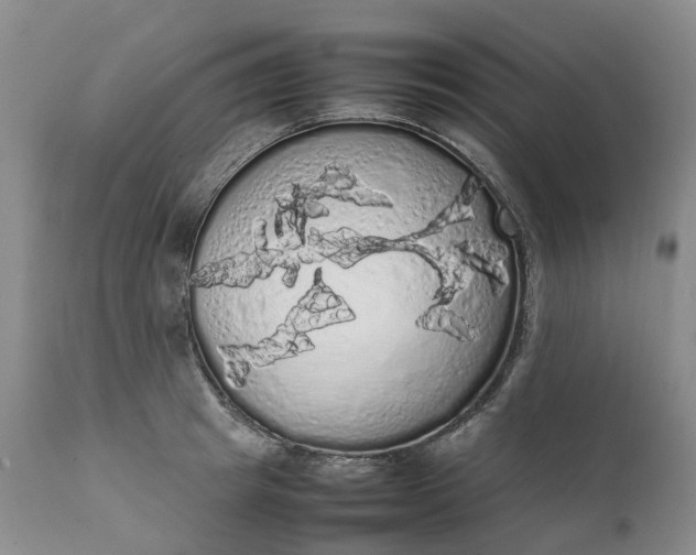 X0000111370849200907241244