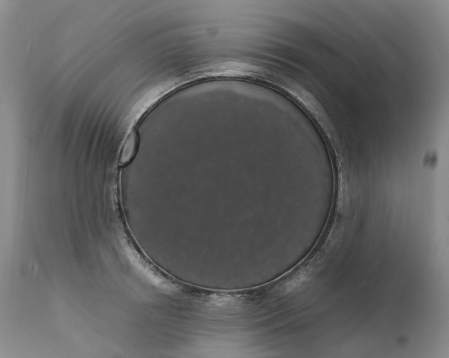 X0000111370850200907241244