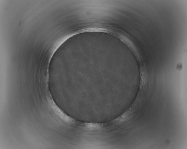 X0000111370852200907241244