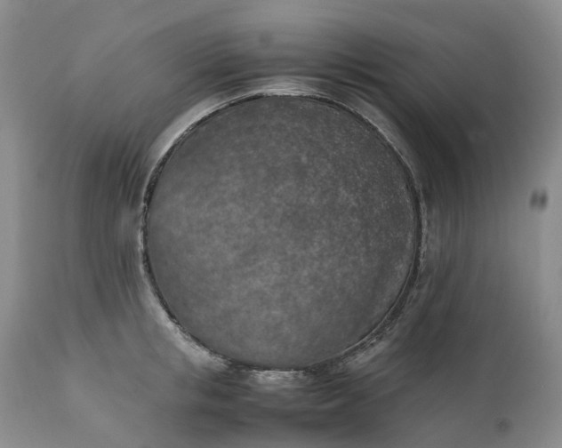 X0000111370853200907241244