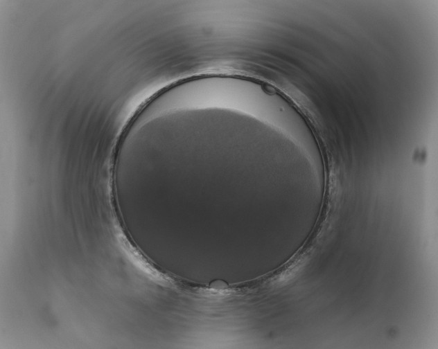 X0000111370854200907241244