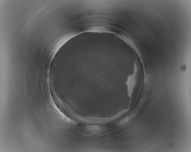 X0000111370855200907241244