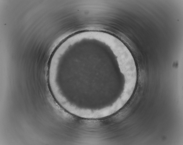 X0000111370856200907241244