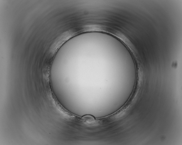 X0000111370857200907241244