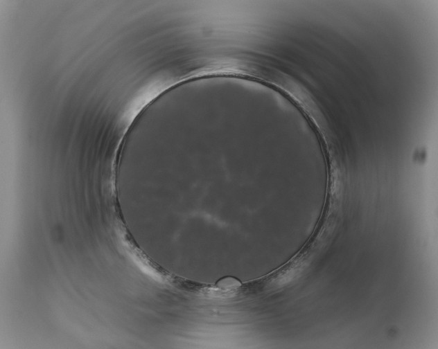 X0000111370858200907241244