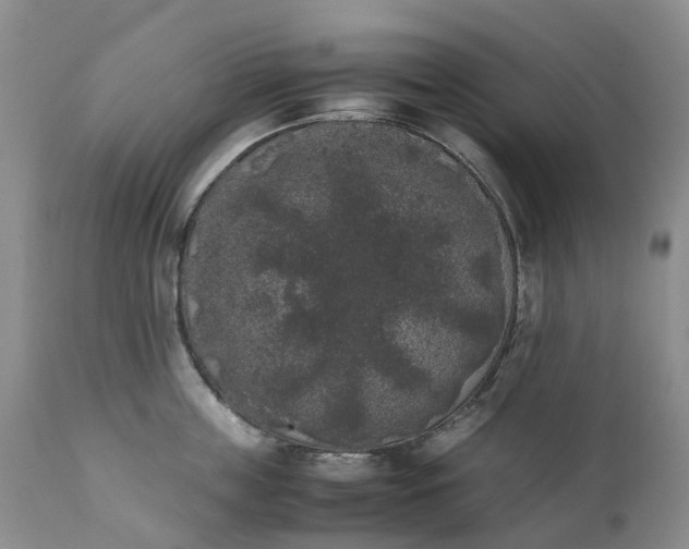 X0000111370859200907241244