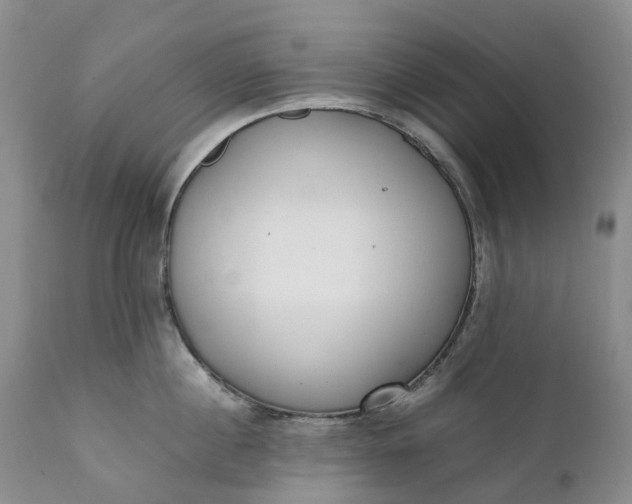 X0000111370860200907241244