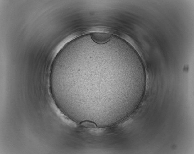 X0000111370861200907241244