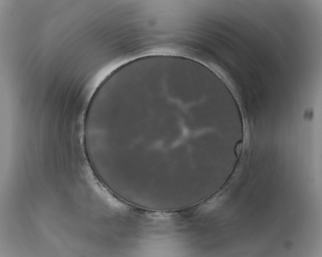 X0000111370862200907241244