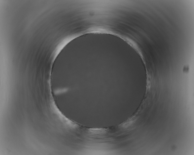 X0000111370863200907241244