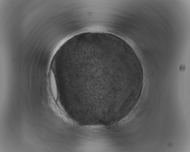 X0000111370864200907241244