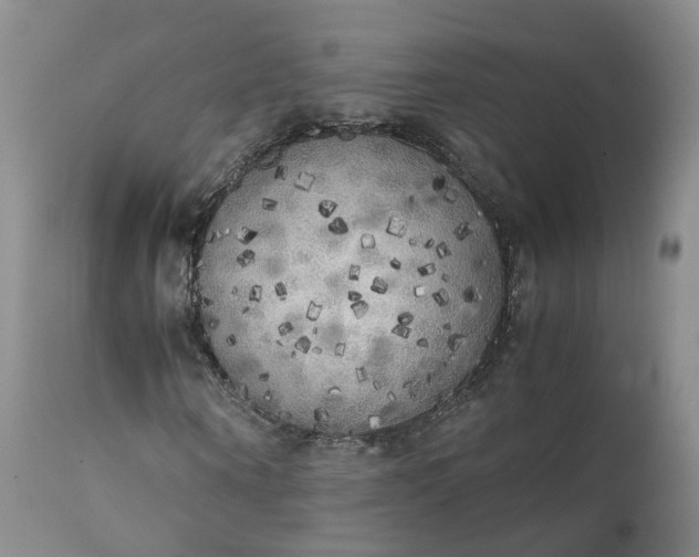 X0000111370866200907241243