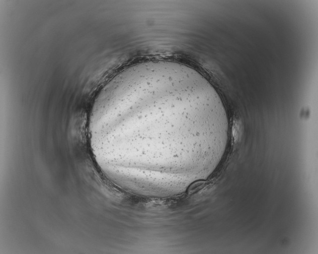 X0000111370867200907241243