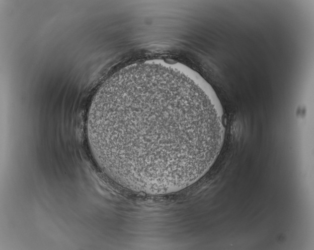 X0000111370868200907241243