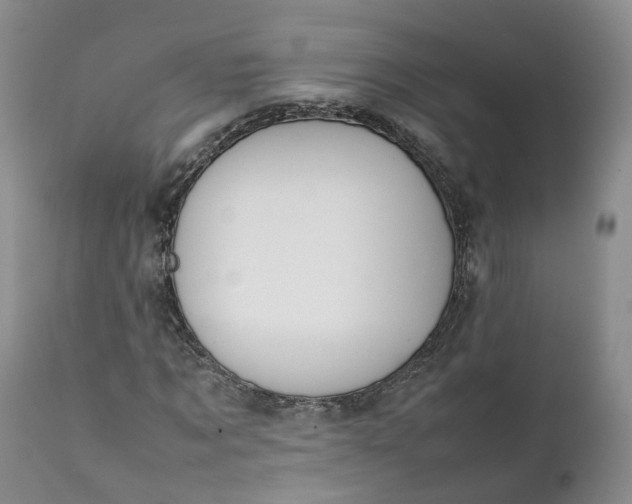 X0000111370869200907241243