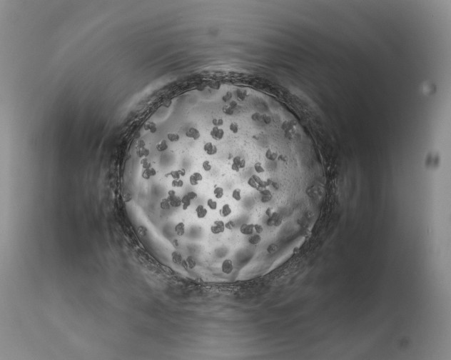 X0000111370870200907241243