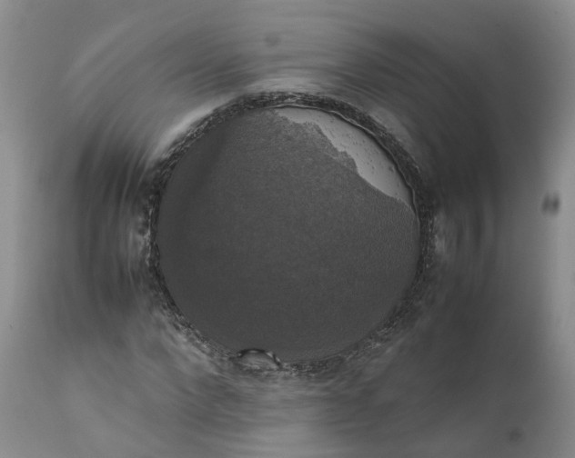 X0000111370872200907241243