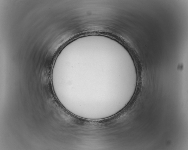 X0000111370873200907241243