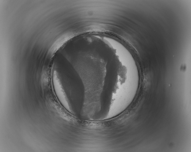 X0000111370874200907241243