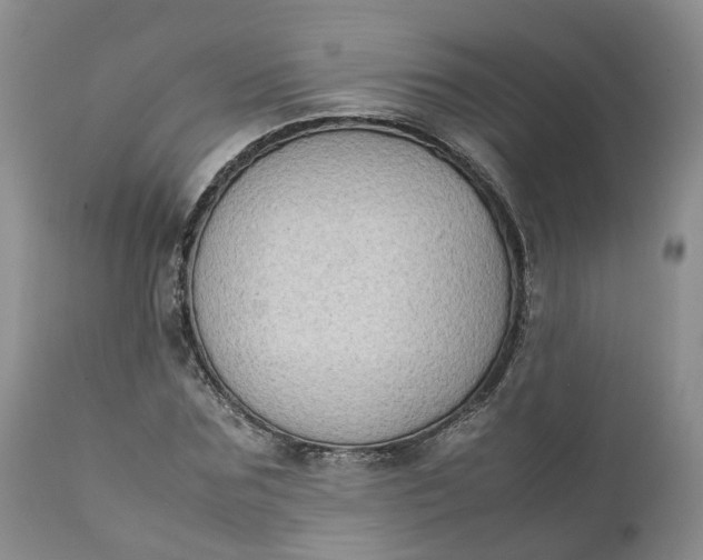 X0000111370875200907241243