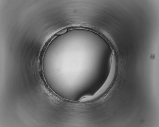 X0000111370876200907241243