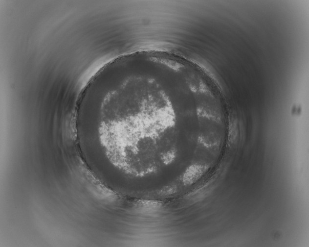 X0000111370878200907241243