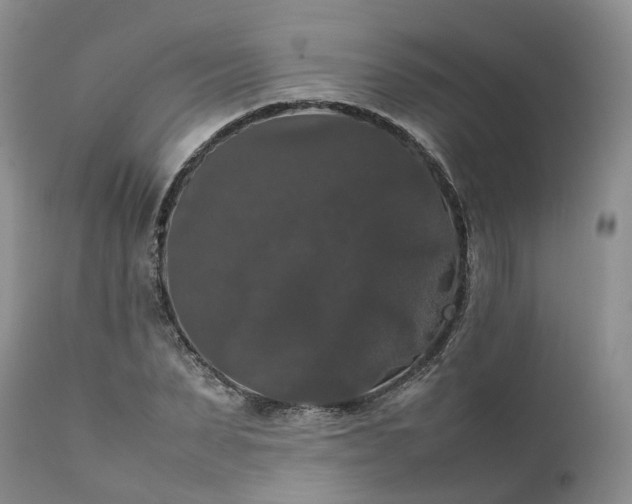 X0000111370879200907241243