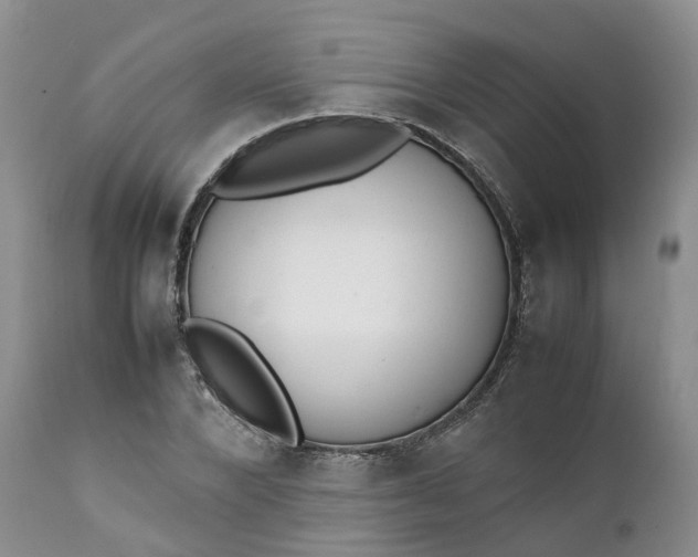 X0000111370880200907241243