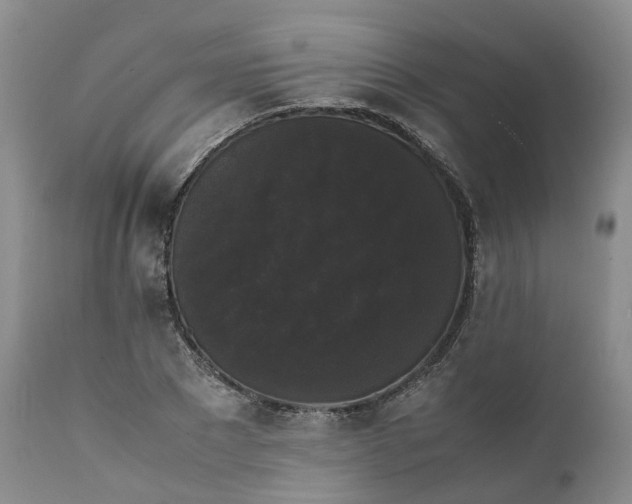 X0000111370881200907241243