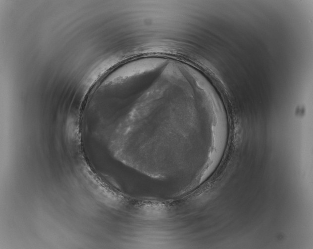 X0000111370882200907241243