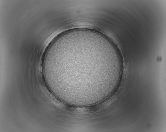 X0000111370883200907241243