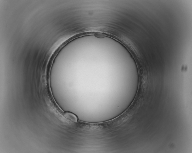 X0000111370884200907241243