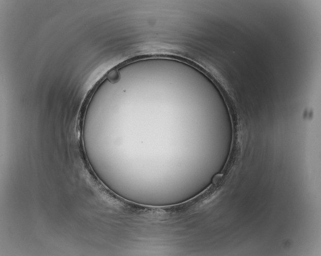 X0000111370885200907241243