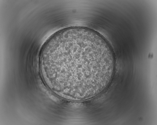 X0000111370886200907241243