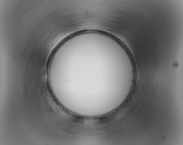 X0000111370887200907241243